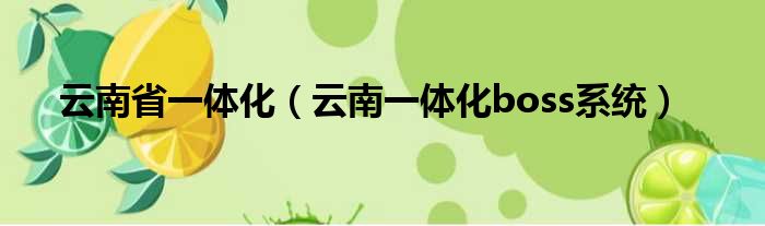 云南省一体化（云南一体化boss系统）