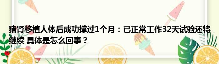 猪肾移植人体后成功撑过1个月：已正常工作32天试验还将继续 具体是怎么回事？