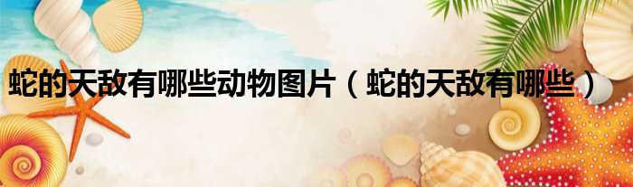 蛇的天敌有哪些动物图片（蛇的天敌有哪些）