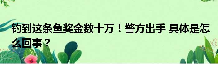钓到这条鱼奖金数十万！警方出手 具体是怎么回事？
