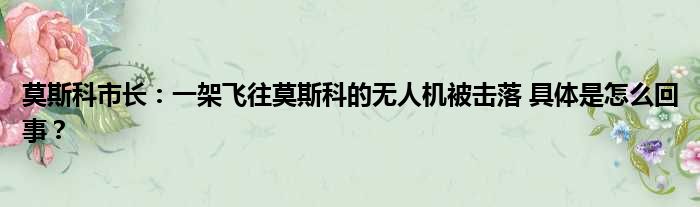 莫斯科市长：一架飞往莫斯科的无人机被击落 具体是怎么回事？