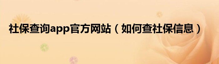 社保查询app官方网站（如何查社保信息）