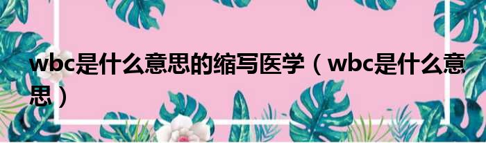 wbc是什么意思的缩写医学（wbc是什么意思）