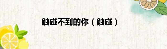 触碰不到的你（触碰）