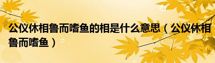 公仪休相鲁而嗜鱼的相是什么意思（公仪休相鲁而嗜鱼）