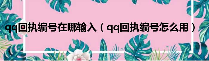 qq回执编号在哪输入（qq回执编号怎么用）