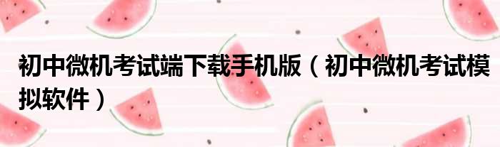 初中微机考试端下载手机版（初中微机考试模拟软件）