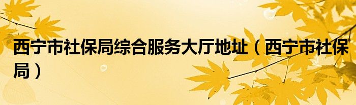 西宁市社保局综合服务大厅地址（西宁市社保局）