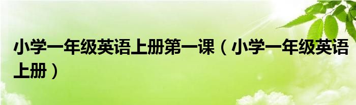 小学一年级英语上册第一课（小学一年级英语上册）