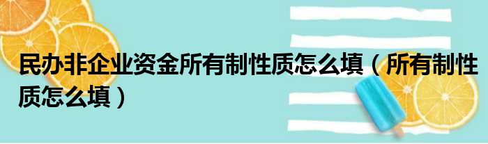 民办非企业资金所有制性质怎么填（所有制性质怎么填）