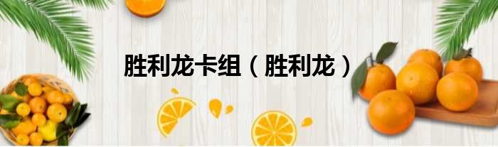胜利龙卡组（胜利龙）