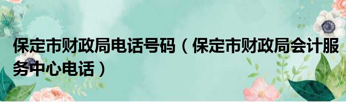 保定市财政局电话号码（保定市财政局会计服务中心电话）