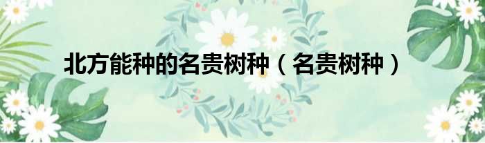 北方能种的名贵树种（名贵树种）