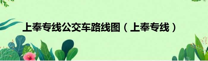 上奉专线公交车路线图（上奉专线）