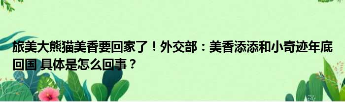 旅美大熊猫美香要回家了！外交部：美香添添和小奇迹年底回国 具体是怎么回事？