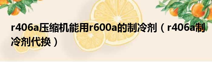 r406a压缩机能用r600a的制冷剂（r406a制冷剂代换）
