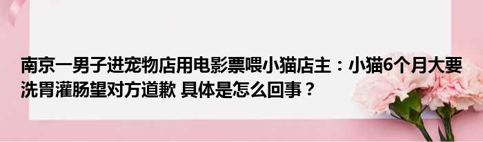 南京一男子进宠物店用电影票喂小猫店主：小猫6个月大要洗胃灌肠望对方道歉 具体是怎么回事？