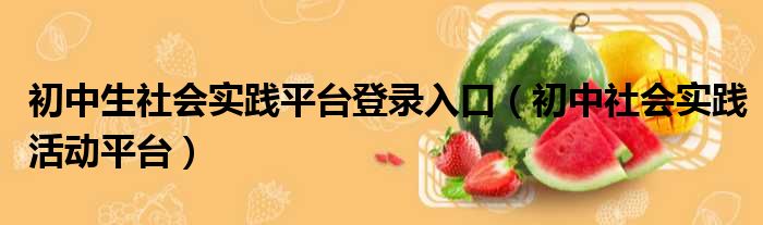 初中生社会实践平台登录入口（初中社会实践活动平台）