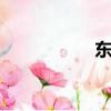 东风悦达起亚k5跑车