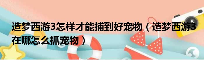 造梦西游3怎样才能捕到好宠物（造梦西游3在哪怎么抓宠物）