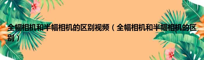 全幅相机和半幅相机的区别视频（全幅相机和半幅相机的区别）
