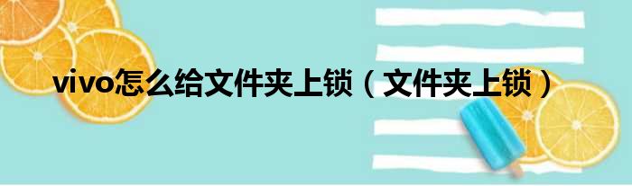 vivo怎么给文件夹上锁（文件夹上锁）