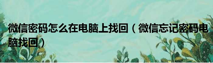 微信密码怎么在电脑上找回（微信忘记密码电脑找回）