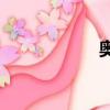 奥迪a4allroad报价