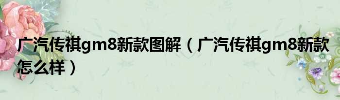广汽传祺gm8新款图解（广汽传祺gm8新款怎么样）