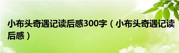 小布头奇遇记读后感300字（小布头奇遇记读后感）