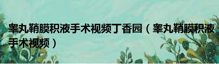 睾丸鞘膜积液手术视频丁香园（睾丸鞘膜积液手术视频）