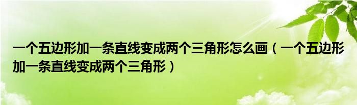 一个五边形加一条直线变成两个三角形怎么画（一个五边形加一条直线变成两个三角形）