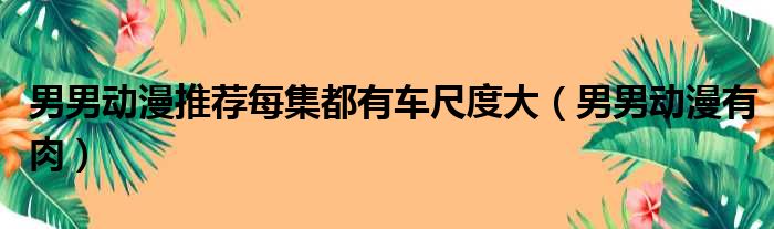 男男动漫推荐每集都有车尺度大（男男动漫有肉）