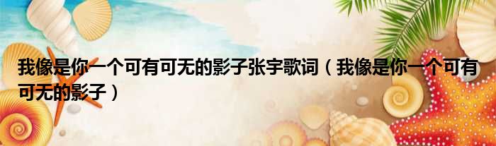 我像是你一个可有可无的影子张宇歌词（我像是你一个可有可无的影子）