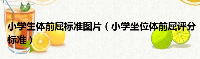 小学生体前屈标准图片（小学坐位体前屈评分标准）