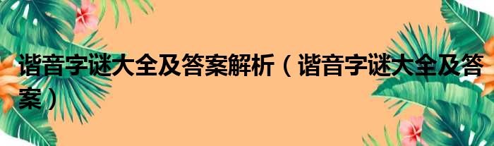 谐音字谜大全及答案解析（谐音字谜大全及答案）