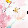 东风悦达起亚报价