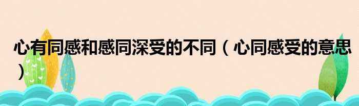 心有同感和感同深受的不同（心同感受的意思）