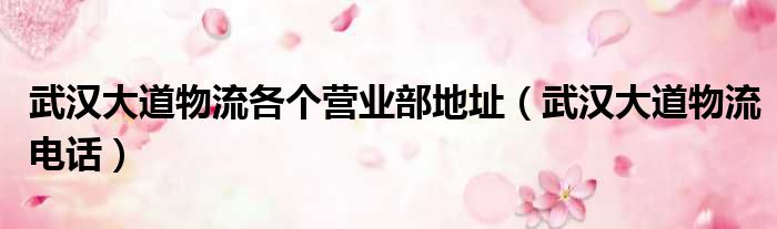 武汉大道物流各个营业部地址（武汉大道物流电话）