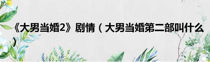 《大男当婚2》剧情（大男当婚第二部叫什么）