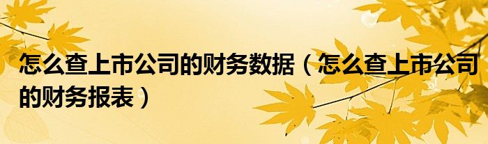 怎么查上市公司的财务数据（怎么查上市公司的财务报表）
