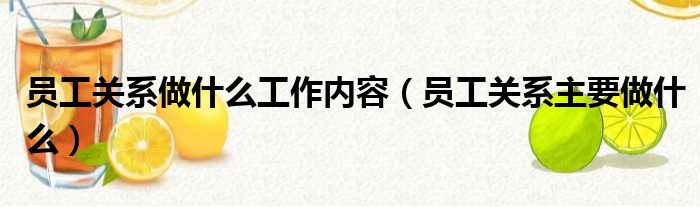 员工关系做什么工作内容（员工关系主要做什么）