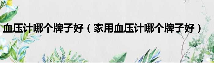 血压计哪个牌子好（家用血压计哪个牌子好）