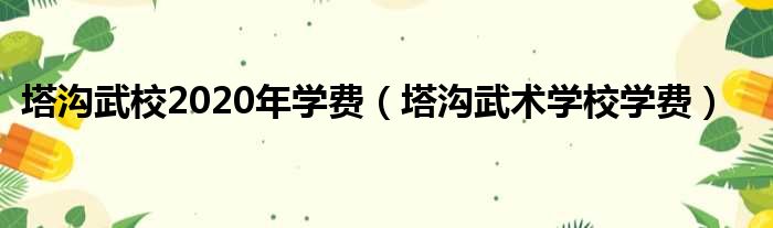 塔沟武校2020年学费（塔沟武术学校学费）