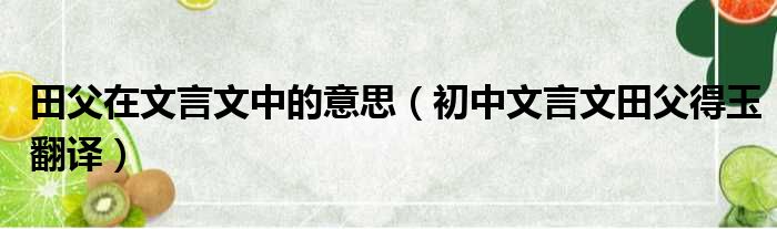 田父在文言文中的意思（初中文言文田父得玉翻译）