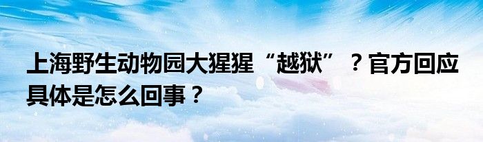 上海野生动物园大猩猩“越狱”？官方回应 具体是怎么回事？