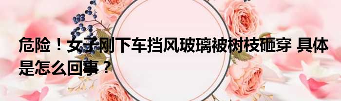危险！女子刚下车挡风玻璃被树枝砸穿 具体是怎么回事？
