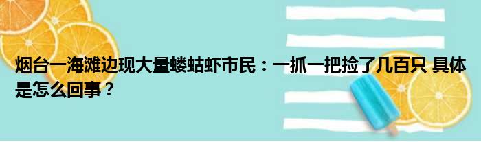 烟台一海滩边现大量蝼蛄虾市民：一抓一把捡了几百只 具体是怎么回事？