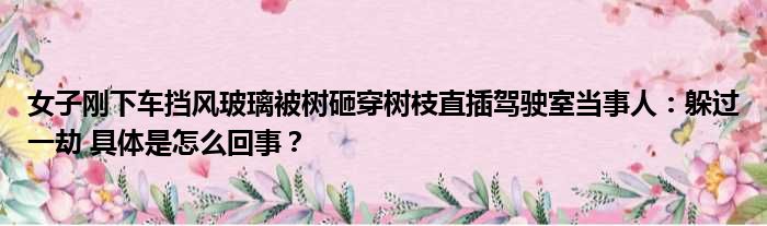 女子刚下车挡风玻璃被树砸穿树枝直插驾驶室当事人：躲过一劫 具体是怎么回事？