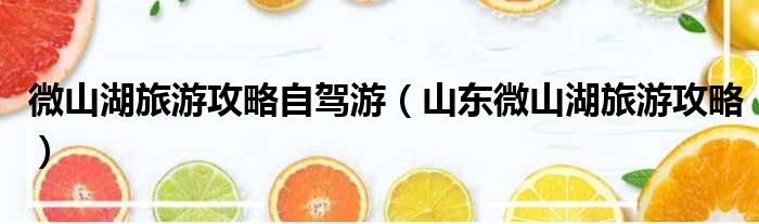 微山湖旅游攻略自驾游（山东微山湖旅游攻略）